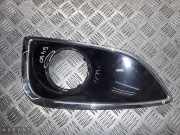 Lüftungsgitter für Stoßfänger Hyundai iX35 (LM) 865852Y000
