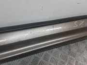 Schweller aus Kunststoff links