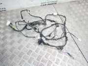 Kabelbaum Hyundai Elantra (XD) 91961