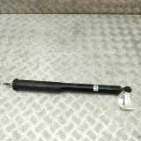 Stoßdämpfer hinten links MERCEDES-BENZ SLK (R171) 200 Kompressor (171.442) A1713260100