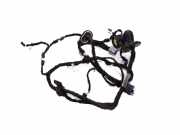 Türverkabelung hinten links CITROËN C5 III Break (TD_) 3.0 V6 9684768180