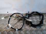 Kabel Tür Nissan Juke (F15) 241241KK0A