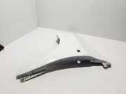 Kotflügel links vorne Renault Twingo III (BCM) 631014025R