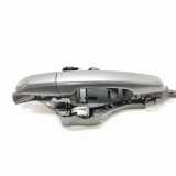 Türgriff rechts hinten Land Rover Discovery Sport (L550) BJ32224N02