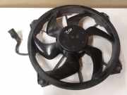 Kühlmodul Citroen C4 Grand Picasso (U) 3000009000