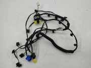 Kabelbaum CITROËN C5 AIRCROSS 1.2 PureTech 130 24541100004