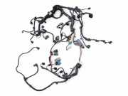 Motor Kabelbaum BMW 3 Touring (E91) 320 d xDrive 7580392