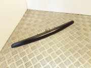 Kennzeichenbeleuchtung Verkleidung CITROËN C5 II (RC_) 1.6 HDi (RC8HZB) P10120135692