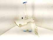 Behälter Scheibenwaschanlage Toyota Auris Touring Sports (E180) 8531002490