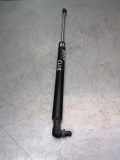 Heckklappe Gasdruckfeder links RENAULT MEGANE III Hatchback (BZ0_) 1.5 dCi 8200299546
