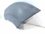 Schutzleiste Kotflügel Fiat Ducato Kasten (250) 1314850070