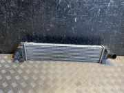 Ladeluftkühler Ford Kuga () 0G919L440AF