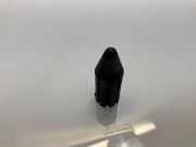 Feder links hinten Mercedes-Benz CLS (C219)