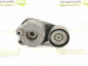 Zahnriemenspanner MERCEDES-BENZ M (W164) ML 350 CDI 4-matic (164.125) 6422001370