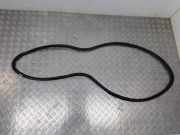 Türgummi rechts vorne Audi Q5 (8R)