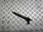 Einspritzdüse BMW 5 Gran Turismo (F07) 530 d xDrive 05232