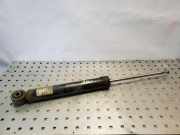 Stoßdämpfer hinten links