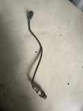 Sauerstoffsensor (Lambdasensor) LAND ROVER RANGE ROVER EVOQUE Cabrio (L538) 2.0 D 4x4 281004608