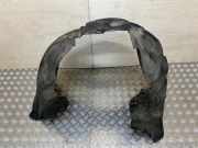 Innenkotflügel vorne links