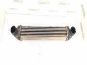 Ladeluftkühler MERCEDES-BENZ A (W169) A 180 CDI (169.007, 169.307) 1695000900 1695000000