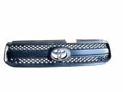 Gitter Grill vorne links TOYOTA RAV 4 II (_A2_) 2.0 D-4D 4WD (CLA20_, CLA21_) 5310142140
