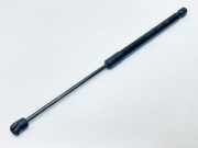 Gasfeder für Motorhaube Hyundai Santa Fe II (CM) 811602B010