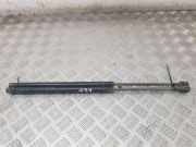 Heckklappe Gasdruckfeder links PEUGEOT 406 Break (8E/F) 1.8 16V D56070