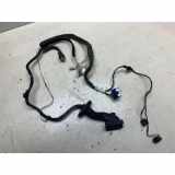 Türverkabelung hinten links