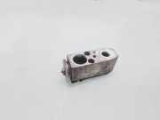 A/C Conditioner Expansion Valve NISSAN MURANO I (Z50) 3.5 4x4