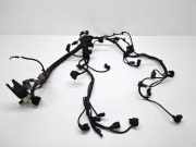 Motor Kabelbaum BMW 5 Touring (F11) 525 d 850864803 736078802D