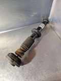 Stoßdämpfer hinten links BMW X4 (F26) xDrive 20 d F25H010BL