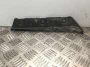 Schutzleiste Kotflügel BMW X5 (E70) 7185575