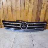 Kühlergrill oben Mercedes-Benz A-Klasse (W168) A1698850074