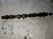 Auspuffkrümmer Lexus RX 1 (MCU15)