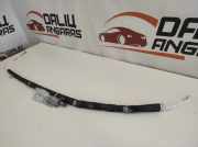 Dach SRS rechts RENAULT LAGUNA III (BT0/1) 2.0 dCi (BT01, BT09, BT12, BT1S) 16790 6063107