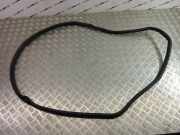 Türdichtung BMW X3 (F25) 1305715