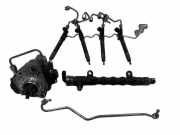 Einspritzventil Set TOYOTA RAV 4 IV (_A4_) 2.0 D (ALA40_) 221000R050 02021