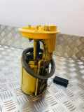 Kraftstoffpumpe VW Eos (1F) 1K0919050