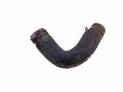 Schlauch Kühlung OPEL SIGNUM 3.0 V6 CDTI