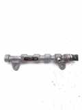 Einspritzleiste Opel Insignia A (G09) 0445214221