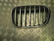 Gitter BMW X1 (F48) sDrive 20 i 7354823
