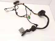 Türverkabelung hinten rechts LAND ROVER DISCOVERY III (L319) 2.7 TD 4x4 8H2214632 8H2214632CA