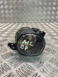 Nebelscheinwerfer vorne rechts MERCEDES-BENZ M (W164) ML 320 CDI 4-matic (164.122) A2518200856