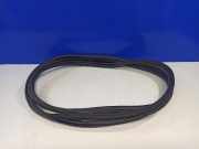 Türgummi rechts vorne Ford Transit Connect V408 Kasten () DT11V20530AL