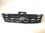 Ziergitter Hyundai Accent II (LC) 8636125620