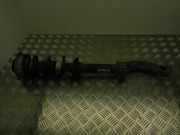 Federsatz Audi A5 Sportback (5FA) 8W6413031B