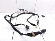 Kabel Tür Renault Master III Bus (JV) 241268711R