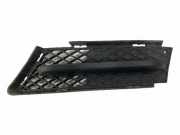 Gitter vorne unten BMW 3 (E90) 320 d 51117154551