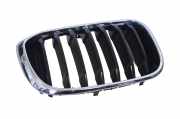 Vorderer oberer Gitter BMW X3 (G01, F97) xDrive 20 d 7440854