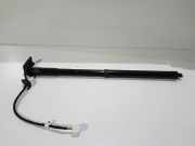 Heckklappe Gasdruckfeder rechts RENAULT KOLEOS II 2.0 dCi 175 4WD 904520316R